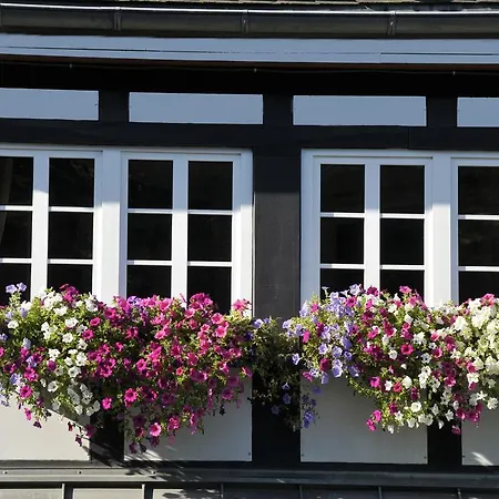 Отель Landidyll Haus Hochstein