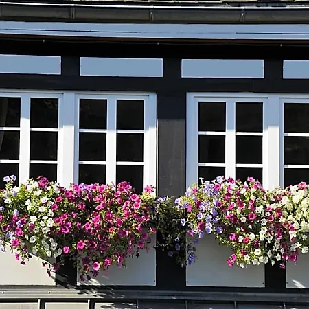 Landidyll Haus Hochstein 3* Эслоэ