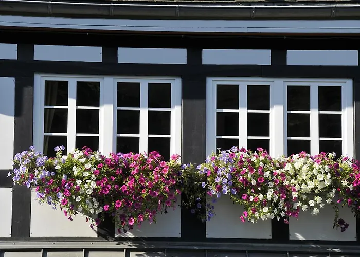 Otel Landidyll Haus Hochstein